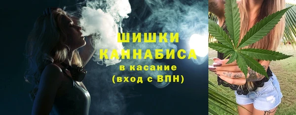 первитин Новодвинск