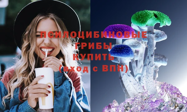 первитин Новодвинск