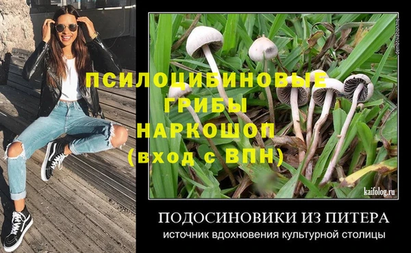 ешки Новокубанск
