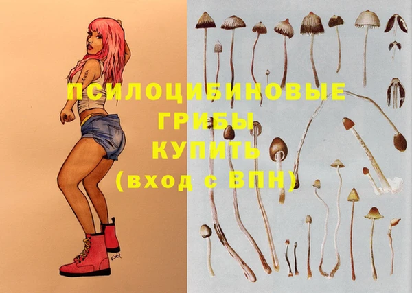 кристаллы Новозыбков